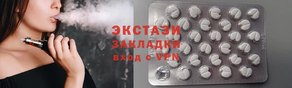 прущие грибы Новозыбков