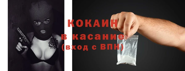 дживик Новодвинск