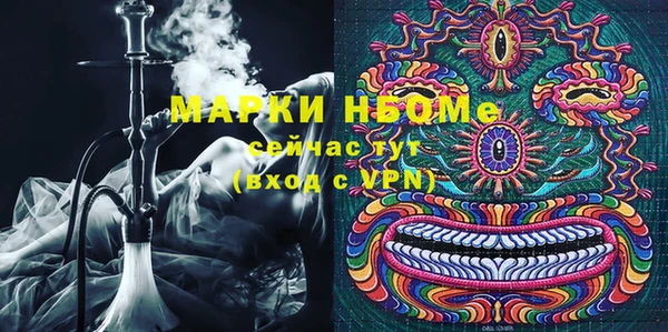 прущие грибы Новозыбков