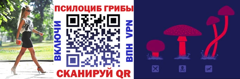 Псилоцибиновые грибы Psilocybe  Суровикино 