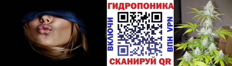 Каннабис MAZAR  закладки  Суровикино 
